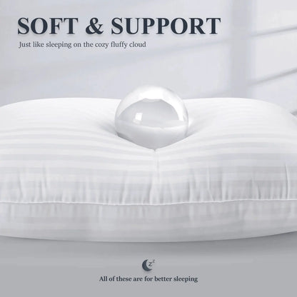 5-Star Hotel Standard Medicated Pillows – Imported & Ultra-Luxurious